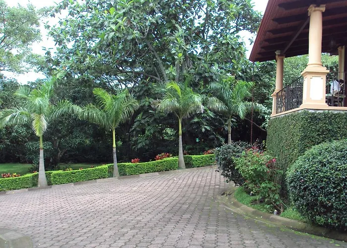 Ringle Guachipelin