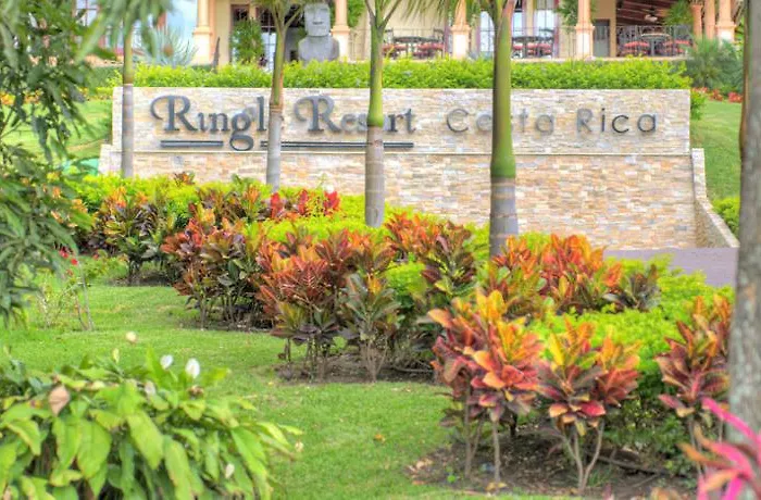 Ringle 5*
